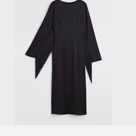 H&M Dresses & Skirts - ✂️ H&M Black Long Sleeve Fringe Dress